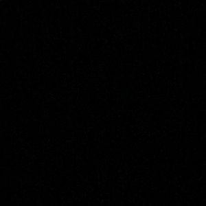 Meet your Posher, Franki